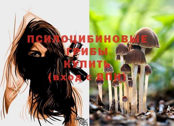 спайс Надым