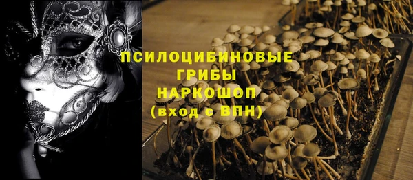 спайс Надым