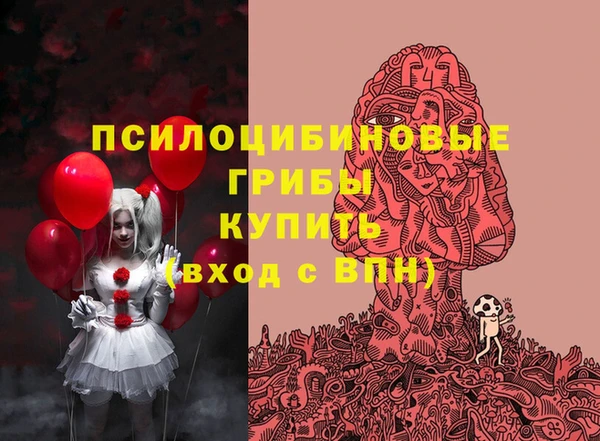 спайс Надым