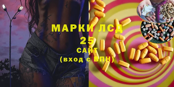 PSILOCYBIN Михайлов