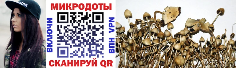 Галлюциногенные грибы прущие грибы  Тарко-Сале 
